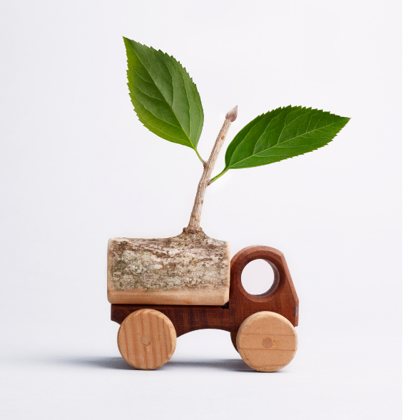 Eco Buddy about section background